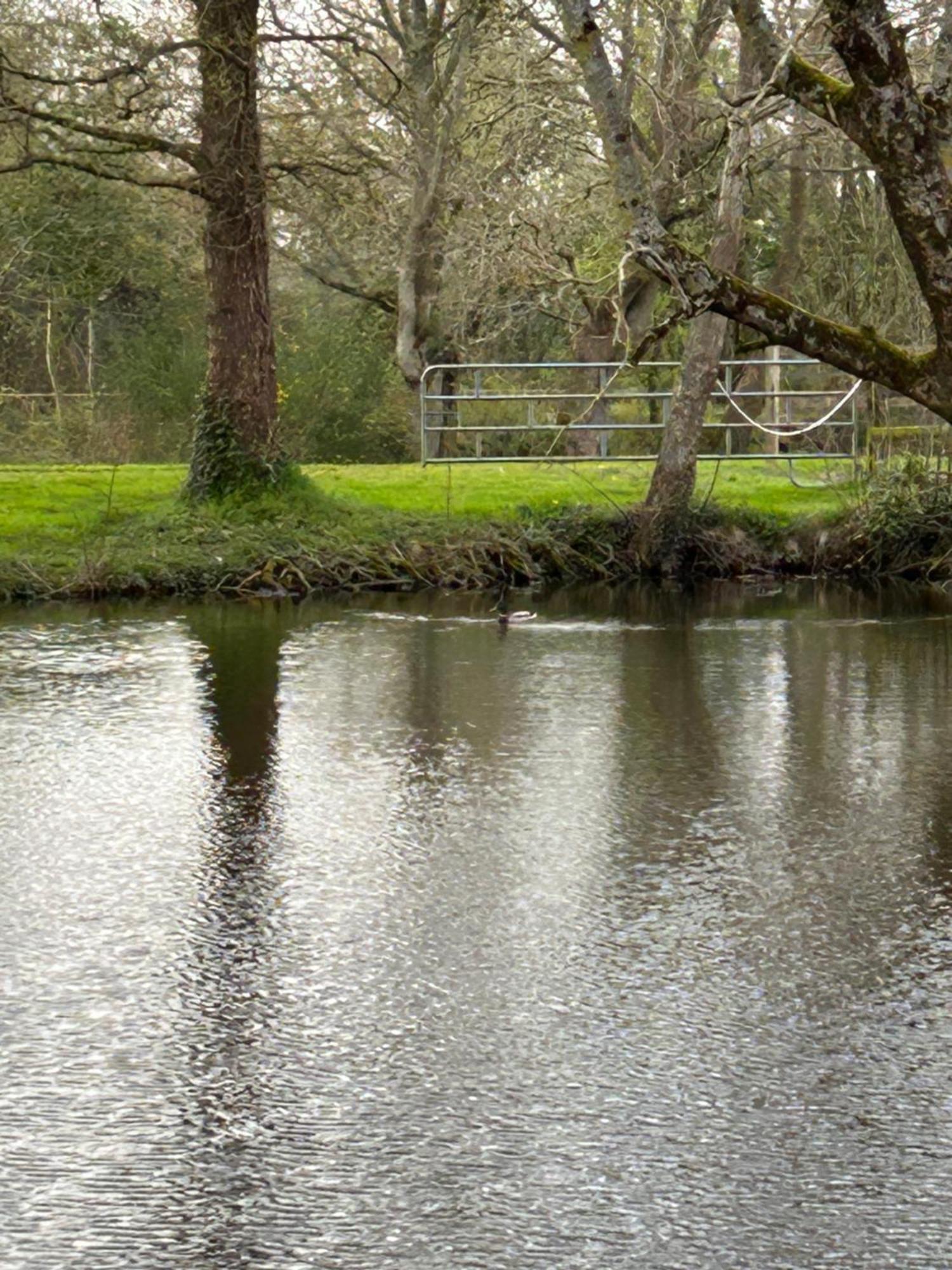 La Maison De L'Etang Manerbe 외부 사진