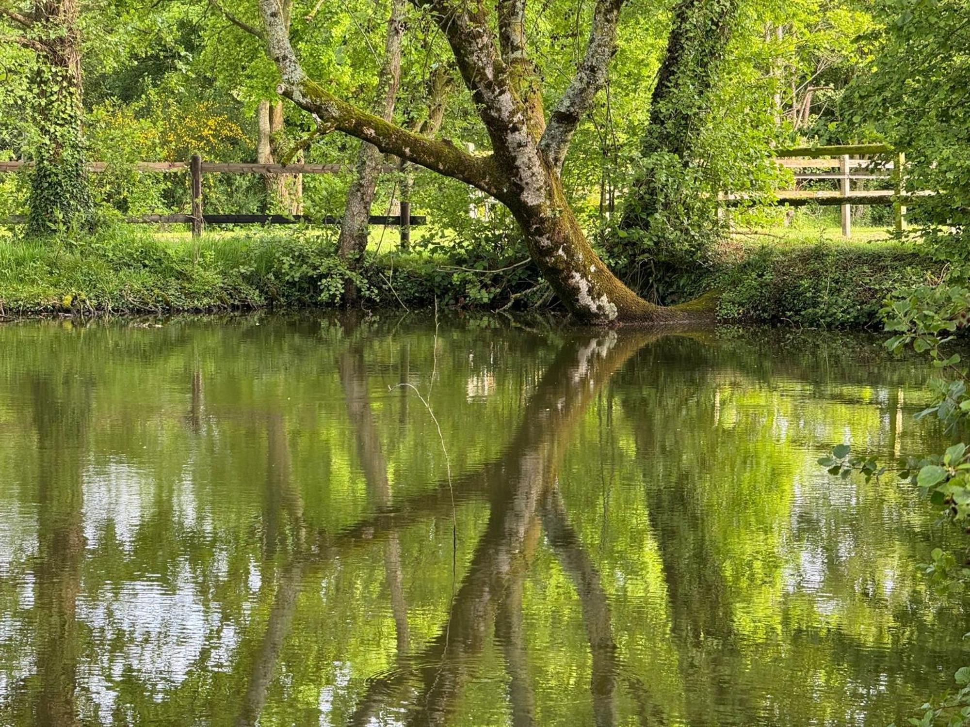 La Maison De L'Etang Manerbe 외부 사진